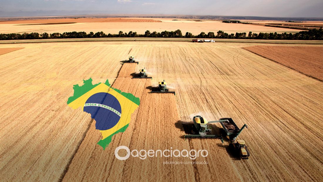 Brazilian Agribusiness