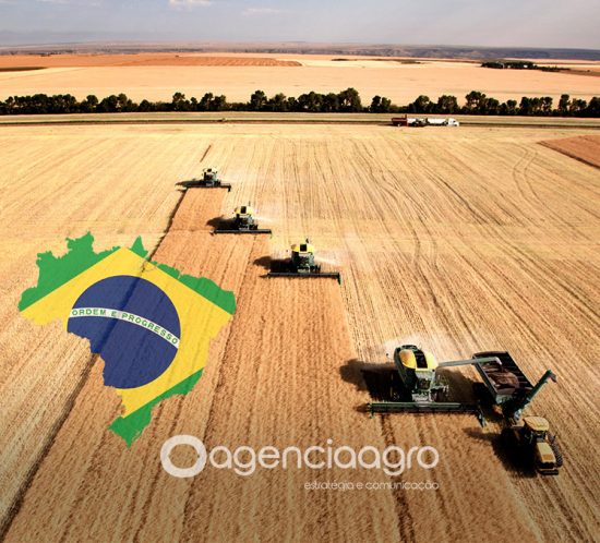 Brazilian Agribusiness