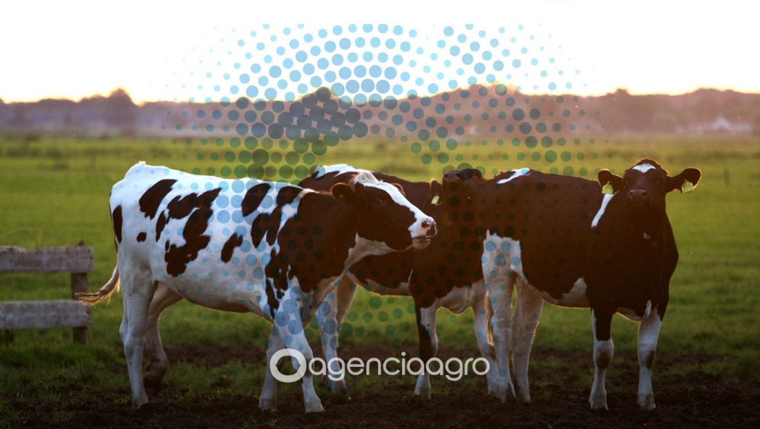 How data and technology are revolutionizing dairy farming