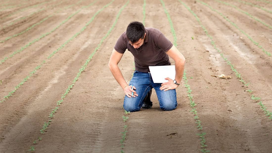 5 beneficios que obtiene una empresa de Agronegocios trabajando con una Agencia de Marketing Digital