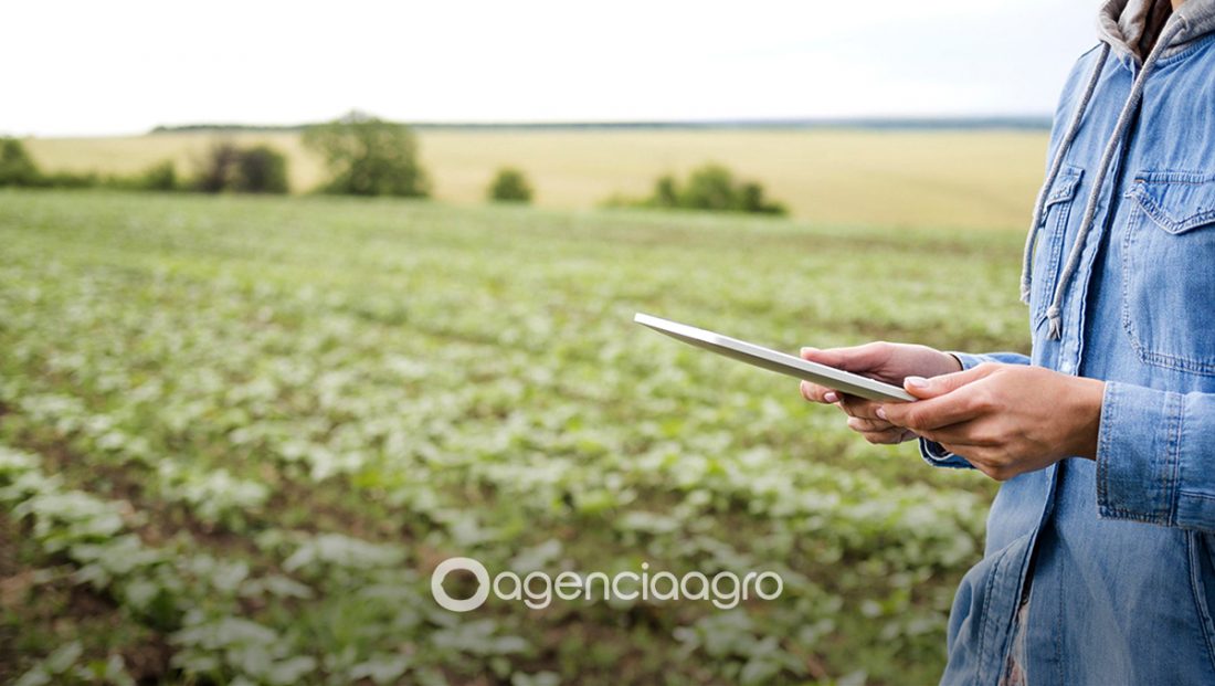 Transformación del Agroindustrial: Adoptando una Estrategia Digital en Primera Instancia para un Crecimiento Mejorado