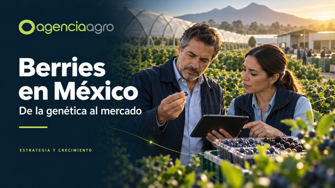 Ilustración editorial de dos profesionales evaluando berries junto a cultivos protegidos, con la identidad visual de AgenciaAgro.