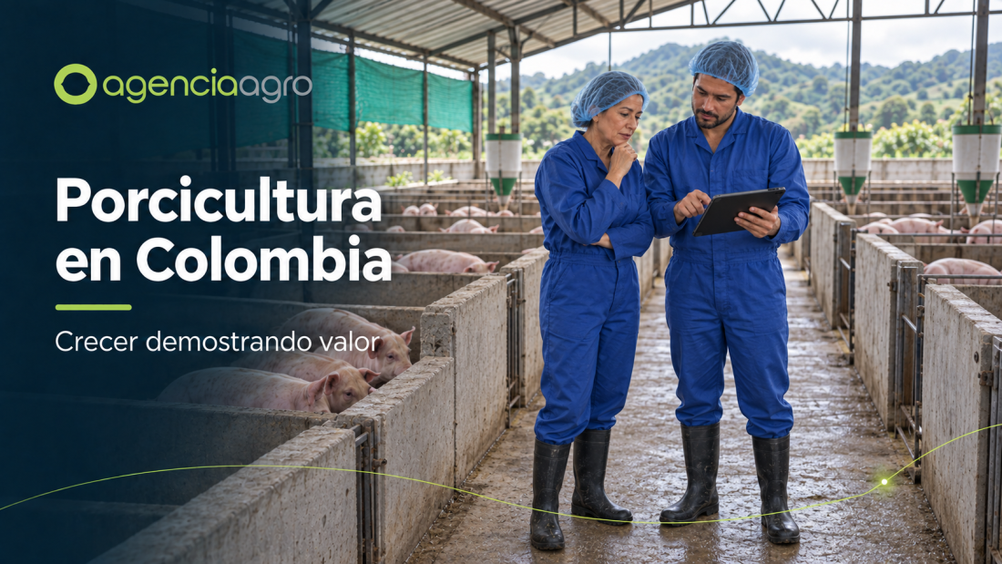 Ilustración de una directiva y un profesional revisando una propuesta frente a una granja porcina, separados de los animales por un vidrio, con la identidad de AgenciaAgro.