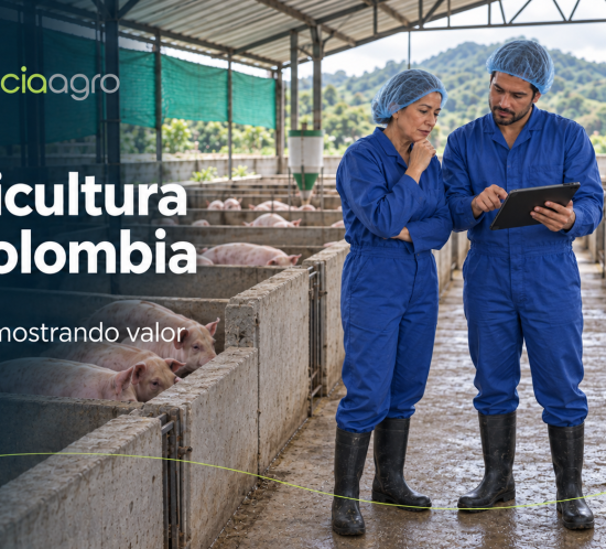 Ilustración de una directiva y un profesional revisando una propuesta frente a una granja porcina, separados de los animales por un vidrio, con la identidad de AgenciaAgro.
