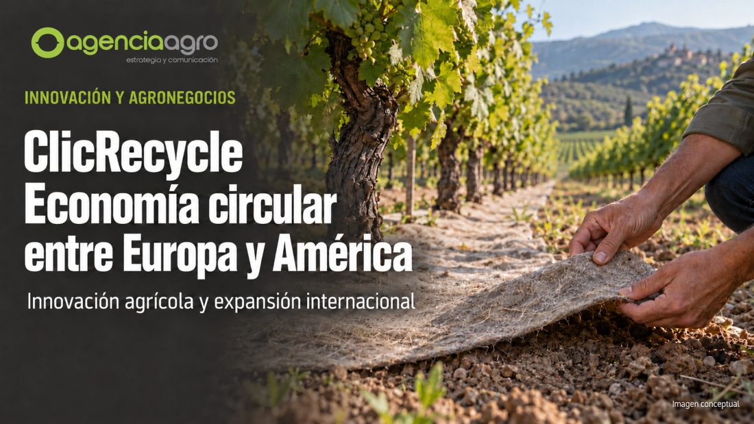 ClicRecycle: economía circular entre Europa y América. Imagen conceptual de cobertura biodegradable en un viñedo.