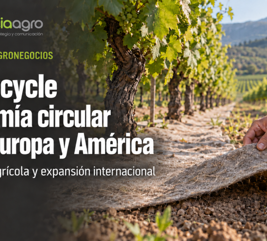 ClicRecycle: economía circular entre Europa y América. Imagen conceptual de cobertura biodegradable en un viñedo.